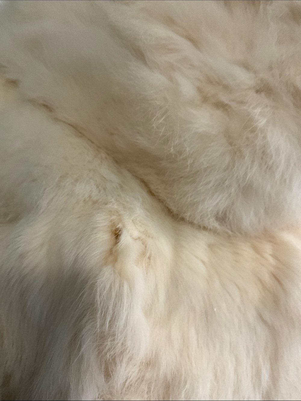 NWT Luxury Real Rabbit Fur Cream Vintage Coat - Stylish Warm Jacket - Picture 13 of 16